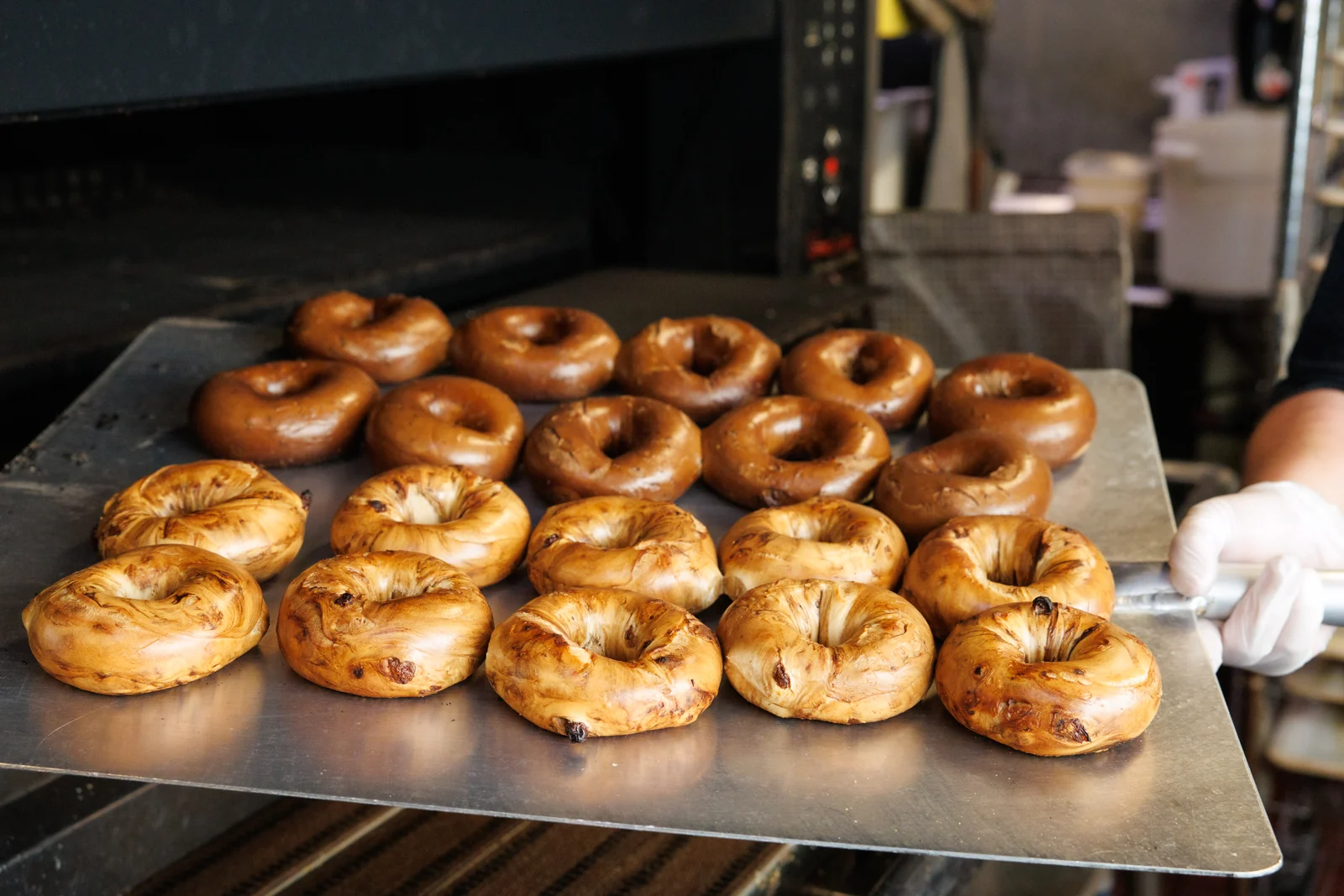 Freshly baked Bagel Boyz bagels on an oven peel