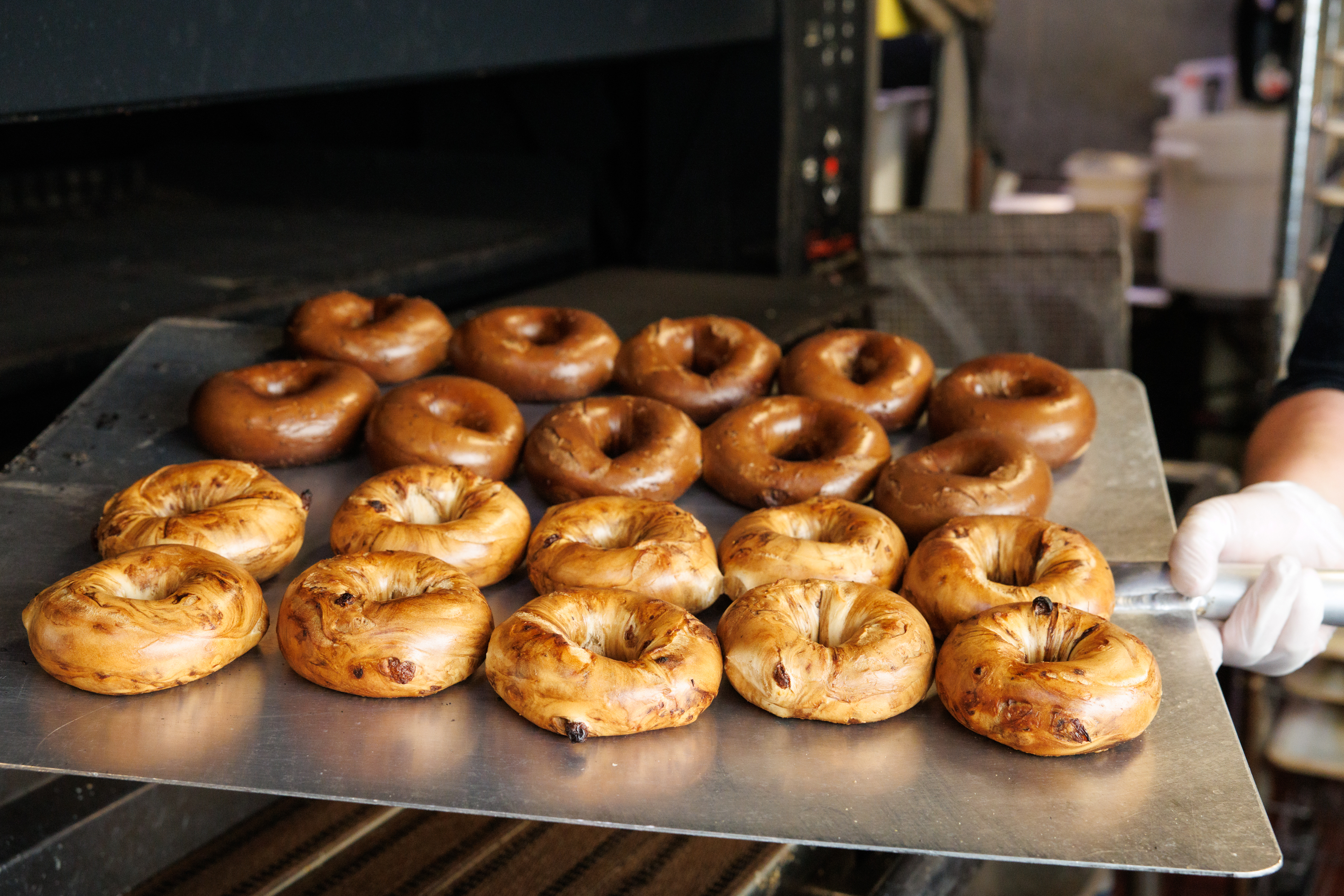 Fresh bagels on oven peel